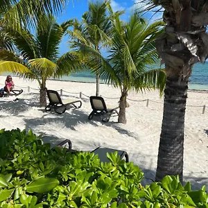 Beachfront Loft Amara Appartement